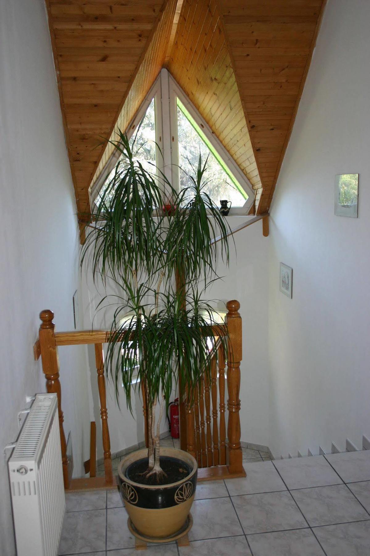 Gyenesdiás Lorelei Pension Adults Only المظهر الخارجي الصورة